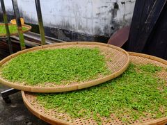 -阿巧茶庄