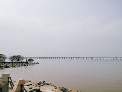 -宝安西湾红树林湿地公园