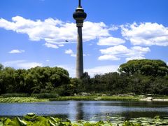 -中央广播电视塔