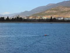 -清溪水库