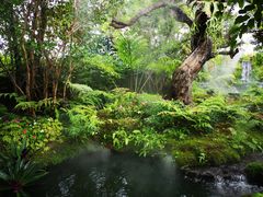 -Chom Cafe and Restaurant