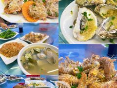 -广东惠东海龟国家级自然保护区