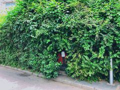 -斯多格书乡(北京大学畅春园店)