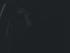 -金刚山烧烤(红旗大街店)