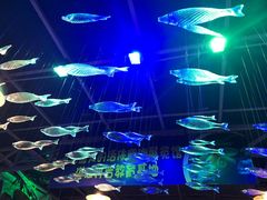 -御唐府海珊瑚主题餐厅