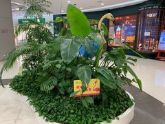 -凯德广场(学府店)