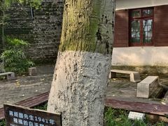 -蒋经国旧居