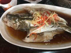 -耿福兴(罍街店)