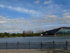 -上海长兴岛郊野公园