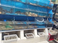 -宾朋海鲜特色美食餐厅·纯手工鲅鱼水饺(兴海路店)