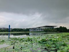 -海天湖公园