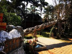 -瑞丽独树成林风景区