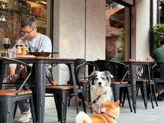 -Money Shops(愚园路店)