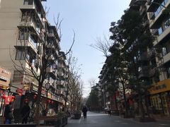 -成都蓝城悦杏温泉美食酒店(宽窄巷子店)