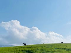 -新疆那拉提国家旅游度假区