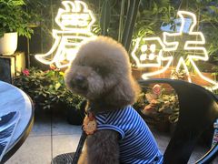 -农畉LONFOOD(福田星河COCOPark店)