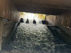 -长谷洞天