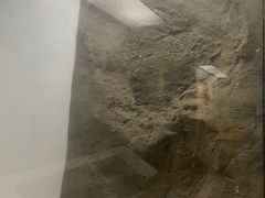 -安徽省地质博物馆