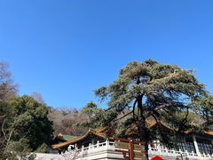 -临江·阅炉