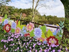 -云溪植物园