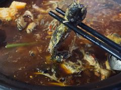 -金海椒罐罐鲢鱼(东方桂苑店)