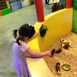 -酷嗒动物文化乐园(cutezoo西溪乐天城店)