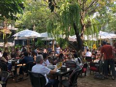 -Fern Forest Cafe