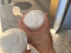 -洪馨椰子