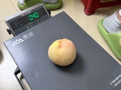 -老袁家蜜桃农场·阳山水蜜桃