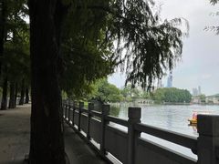 -东山湖公园