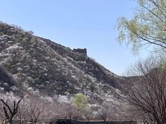 -天源渔港农庄