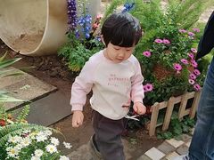 -沈阳植物园