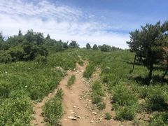 -北京鹫峰国家森林公园