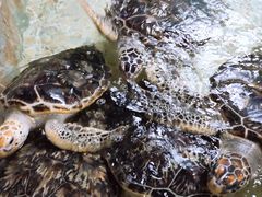 -常州海昌海洋探索馆