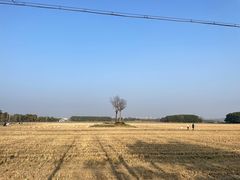 -嘉北郊野公园
