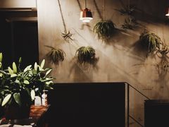 -Apollo·西班牙小酒馆(安福路店)