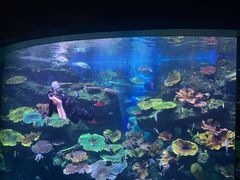 -暹罗海洋世界