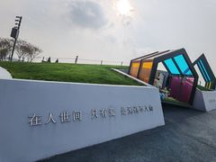 -荷兰花海
