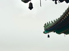 -阅江楼风景区