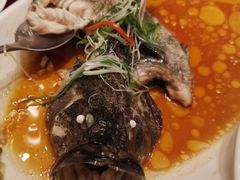 葱花鲈鱼-梦都海鲜酒家(万达广场江桥店)