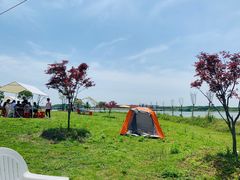 -梁子湖东篱老屋生态庄园