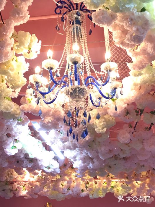 pink baby·新晋网红打卡地图片