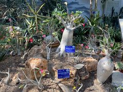 -国家植物园南园