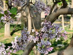 -远洋未来广场(育慧北路店)