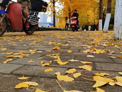 -高庙村(地铁站)