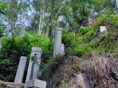 -水濂山森林公园