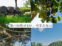 -龙谕酒庄
