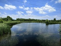 -昆山城市生态森林公园
