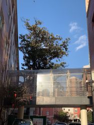 -复旦大学附属妇产科医院(黄浦院区)