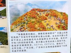 游乐设施-广东天露山旅游度假区